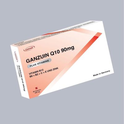 Ganzuin Q10